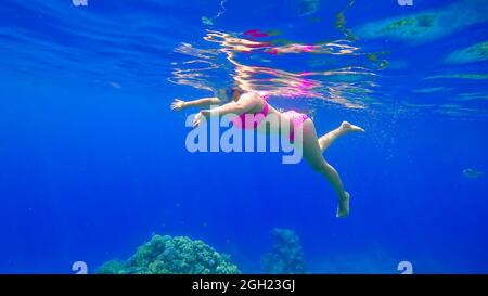 Ein junges, schönes Mädchen mit einer schönen Figur schwimmt im Roten Meer und schnorchelt Stockfoto
