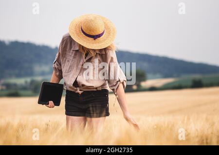 Frau mit digitaler Tablette, die die Qualität der Getreidepflanze untersucht. Landwirtschaftliche Tätigkeit im Gerstenfeld vor der Ernte. Landwirt mit moderner Technologie Stockfoto