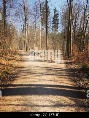 Vertikale Aufnahme eines Fußweges mit einer Gabelung in der Straße mit zwei Richtungen an einem sonnigen Tag Stockfoto