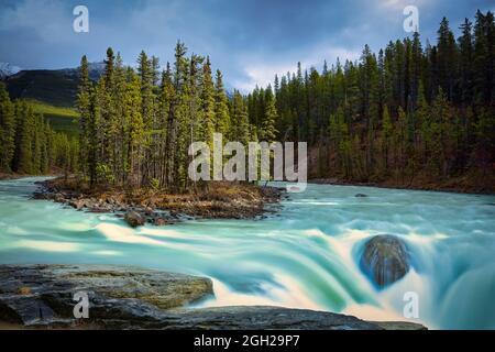Sunwapta Falls, Jasper National Park, Kanada Stockfoto