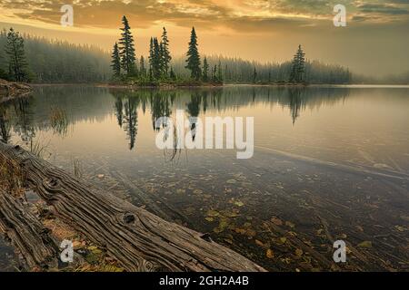 Sonnenaufgang auf dem Buttle Lake im Strathcona Provincial Park, British Columbia Stockfoto
