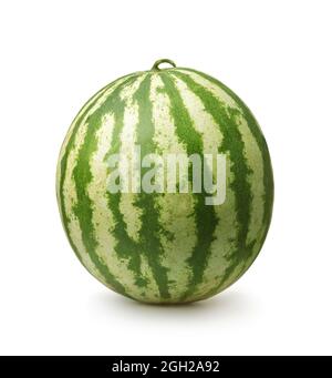 Ganze reife, frische Wassermelone isoliert auf Weiß Stockfoto