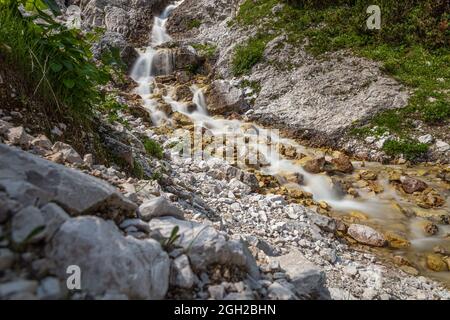 Klarer Bach, der über flache Felsen in einer saftig grünen alpinen Landschaft fließt Stockfoto