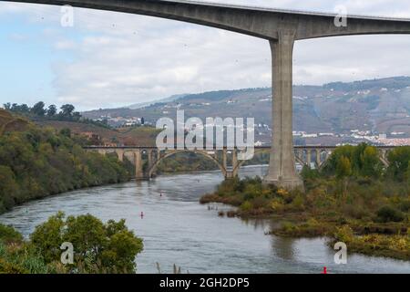 Blick auf die Douro-Flussbrücken in der Nähe von Peso da Regua und farbenfrohe, hügelige terrassenförmige Weinberge im Herbst, Weinherstellung in Portugal Stockfoto