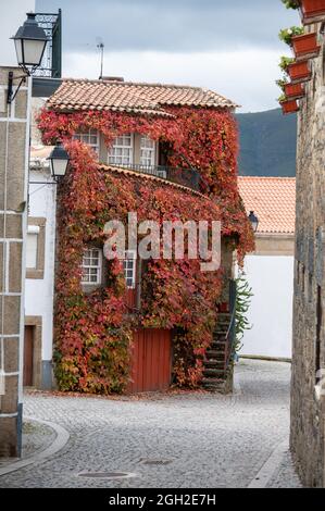 Blick auf das alte Dorf Provesende im Herzen des Douro-Flusstals im Herbst, Weinherstellung in Portugal Stockfoto