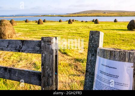 Eine Mitteilung über die erstmalige Registrierung eines Crofts gemäß dem Crofting Reform (Scotland) Act 2010. An Land auf Yell, Shetland. Stockfoto