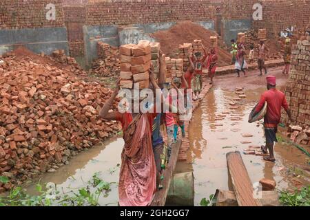 Frauen halten Ziegel auf dem Kopf, nachdem sie sie aus den Öfen genommen haben, während sie auf einem Brett den Fluss überquert, um sie auf der anderen Seite bei einem Mauerwerk unterzubringen, um die Ziegel für Bauunternehmen außerhalb von Dhaka zu verteilen. Ziegelfeldarbeiter arbeiten 7 Tage die Woche und werden 350 BDT (4.37 Dollar) pro Tag bezahlt, die Besitzer jeder Ziegelfabrik beschäftigen zwischen 100-200 Arbeiter und arbeiten während der Trockenzeit von Sonnenaufgang bis Sonnenuntergang. Am 4. September 2021 in Dhaka, Bangladesch. (Foto von Habibur Rahman / Eyepix Group) Stockfoto