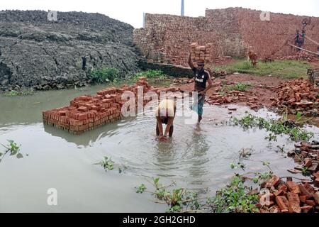 Arbeiter halten Ziegelsteine auf dem Kopf, nachdem sie sie aus den Öfen genommen haben, während sie auf einem Brett den Fluss überquert, um sie auf der anderen Seite bei einem Mauerwerk unterzubringen, um die Ziegelsteine für Bauunternehmen außerhalb von Dhaka zu verteilen. Ziegelfeldarbeiter arbeiten 7 Tage die Woche und werden 350 BDT (4.37 Dollar) pro Tag bezahlt, die Besitzer jeder Ziegelfabrik beschäftigen zwischen 100-200 Arbeiter und arbeiten während der Trockenzeit von Sonnenaufgang bis Sonnenuntergang. Am 4. September 2021 in Dhaka, Bangladesch. (Foto von Habibur Rahman / Eyepix Group) Stockfoto