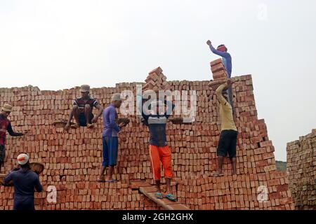 Arbeiter halten Ziegelsteine auf dem Kopf, nachdem sie sie aus den Öfen genommen haben, während sie auf einem Brett den Fluss überquert, um sie auf der anderen Seite bei einem Mauerwerk unterzubringen, um die Ziegelsteine für Bauunternehmen außerhalb von Dhaka zu verteilen. Ziegelfeldarbeiter arbeiten 7 Tage die Woche und werden 350 BDT (4.37 Dollar) pro Tag bezahlt, die Besitzer jeder Ziegelfabrik beschäftigen zwischen 100-200 Arbeiter und arbeiten während der Trockenzeit von Sonnenaufgang bis Sonnenuntergang. Am 4. September 2021 in Dhaka, Bangladesch. (Foto von Habibur Rahman / Eyepix Group) Stockfoto