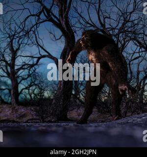 Illustration eines Werwolf in der Nacht im gruseligen Forest - 3d-Rendering Stockfoto