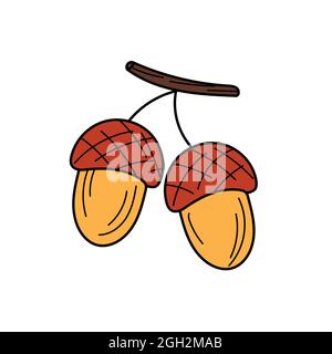 Acorn-Vektorsymbol. Handgezeichneter Druck. Aufkleberdesign auf weiß. Einfaches Skizzendesign Stock Vektor
