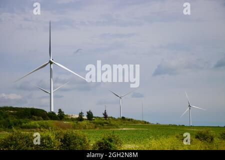 Windturbinen, die die Sonne an einem bewölkten Tag in grünen, rollenden Feldern reflektieren Stockfoto