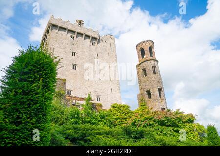 Ostwand und Turm einer mittelalterlichen Burg, bekannt als Blarney Castle in der Grafschaft Cork, Irland. Stockfoto