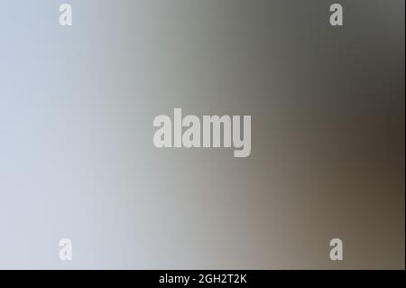 Sanfte süße Pastell beige Hintergrund, für Design und Dekor, modische Schatten, Hellbraunes Pulver Licht Stockfoto