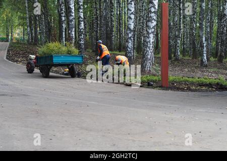 Nischni Nowgorod, Russland, Schweiz Park, Gagarin Avenue 113, 02.09.2021. Arbeiter Pflanzen im Park junge Bäume. Stockfoto