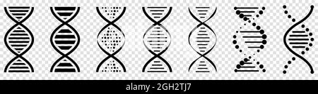 DNA-Symbole gesetzt. Piktogramm des DNA-Symbols isoliert auf transparentem Hintergrund Stock Vektor
