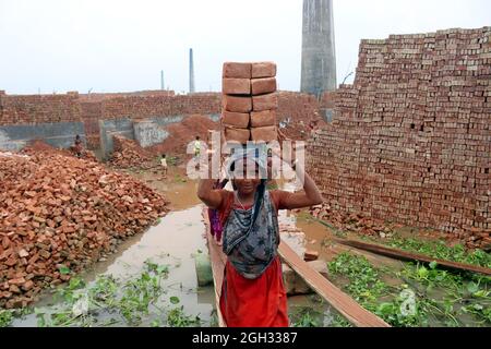 DHAKA, BANGLADESCH - 4. SEPTEMBER: Eine Frau hält Ziegelsteine auf dem Kopf, nachdem sie sie aus den Öfen genommen hat, während sie auf einem Brett den Fluss überquert, um sie auf der anderen Seite bei einem Mauerwerk unterzubringen, um die Ziegelsteine für Bauunternehmen außerhalb von Dhaka zu verteilen. Ziegelfeldarbeiter arbeiten 7 Tage die Woche und werden 350 BDT (4.37 Dollar) pro Tag bezahlt, die Besitzer jeder Ziegelfabrik beschäftigen zwischen 100-200 Arbeiter und arbeiten während der Trockenzeit von Sonnenaufgang bis Sonnenuntergang. Am 4. September 2021 in Dhaka, Bangladesch. (Foto von Habibur Rahman/Eyepix Group/Sipa USA) Stockfoto