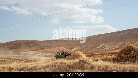 khuzestan, iran - juli 27 2021 Menschen oder Arbeiter arbeiten mit alten manuellen Erntemaschinen im Weizenfeld, im iran Stockfoto