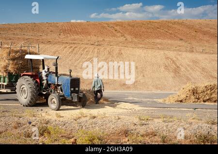 khuzestan, iran - juli 27 2021 Menschen oder Arbeiter arbeiten mit alten manuellen Erntemaschinen im Weizenfeld, im iran Stockfoto