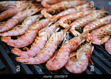 Garnelen auf dem Grill. Große königliche Garnelen auf dem Grill Stockfoto