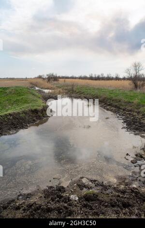 Schmutziges Wasser. Ökologische Katastrophe, der Fluss ist mit Müll durch Plastikflaschen mit Radreifen, Motoröl verschmutzt. Stockfoto