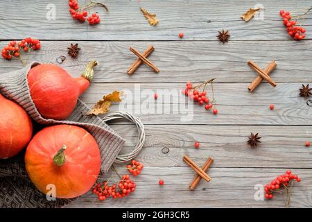 Danksagung. Orangefarbene Hokkaido-Kürbisse, Eberesche, Äpfel, Zimt und Rahmen aus Herbstdekorationen. Flach liegend, Draufsicht auf alt Stockfoto