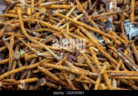 Haufen scharfer, rostiger Nägel, die draußen sitzen Stockfoto