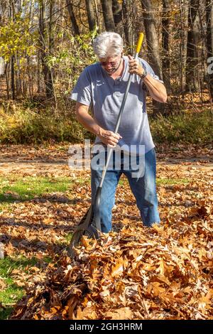 Ein hübscher älterer Mann reckt Blätter an einem knackigen Herbsttag in Michigan USA Stockfoto