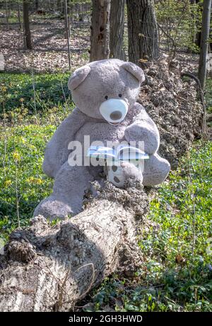 Ein riesiger Teddybär sitzt auf einem Baumstamm in einem Frühlingswald und liest ein Buch Stockfoto