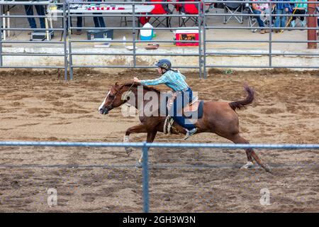 Ein Cowgirl reitet ihr Pferd während eines Rodeo-Events auf dem Noble County Fairgrounds in Kendallville, Indiana, USA, durch das Barrel-Rennen. Stockfoto