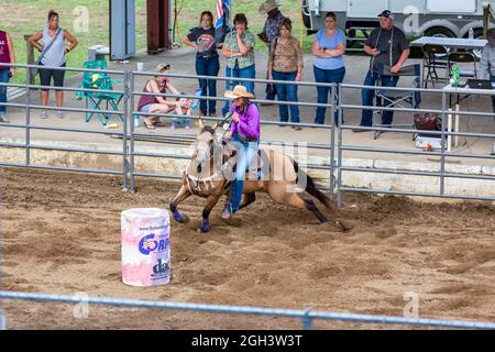 Ein Cowgirl reitet ihr Pferd während eines Rodeo-Events auf dem Noble County Fairgrounds in Kendallville, Indiana, USA, durch die Barrel-Rennstrecke. Stockfoto