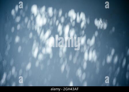 Abstrakt hinterlässt Schatten auf dem weißen Wandhintergrund Stockfoto