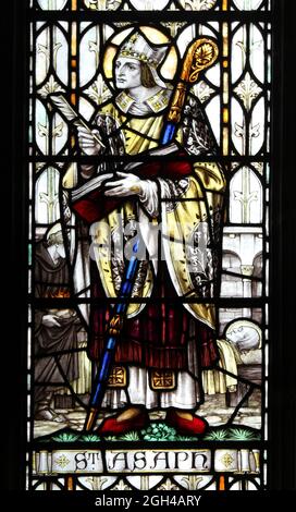 Buntglasfenster mit Darstellung von Saint Asaph in der St Asaph Cathedral, Wales Stockfoto