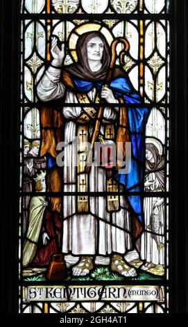 Buntglasfenster mit Darstellung von St. Kentigern, auch bekannt als St. Mungo, in der St Asaph Cathedral, Wales Stockfoto