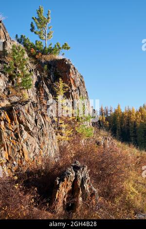 Altai Herbstlandschaft mit Steinen und Zedern und Lärchen. Altai, Sibirien, Russland Stockfoto