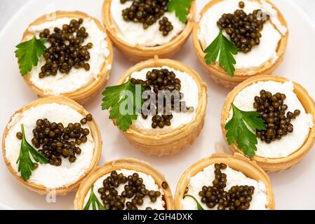 Schwarzer Kaviar in Tartlets auf hellem Hintergrund. Gesundes Lebensmittelkonzept. Speicherplatz kopieren. Tartlets mit Käse und schwarzem Kaviar. Stockfoto