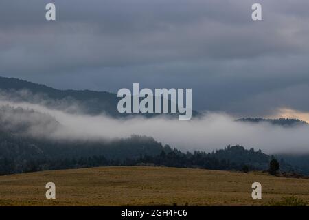 Sturmwolken Rollen über der Lost Creek Wilderness, Colorado Stockfoto