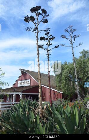 Landschaft mit szenischem Blick auf das Cygnet Theater, ein historisches Gebäude im Herzen der Altstadt von San Diego State Historic Park, Kalifornien, USA. Stockfoto