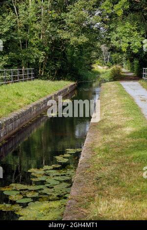 Montgomery Canal und Berriew Aqueduct, Powys, Wales Stockfoto