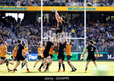 Perth, Australien, 5. September 2021. Akira Ioane von den All Blacks und Lachlan Swinton von den Wallabies gehen beim Rugby Championship und Bledisloe Cup Spiel zwischen den australischen Wallabies und den neuseeländischen All Blacks hoch für den Ball Kredit: Graham Conaty/Speed Media/Alamy Live News Stockfoto