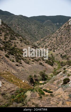 Ein alter camino oder Pfad in La Gomera führt von Vallehermoso durch den Barranco de la Era Nuefa zum 730 Meter hohen Teselinde-Bergrücken Stockfoto