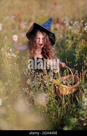 Ein Mädchen in einem schwarzen Kleid und einem Hexenhut sammelt Kräuter für einen Trank. Stockfoto