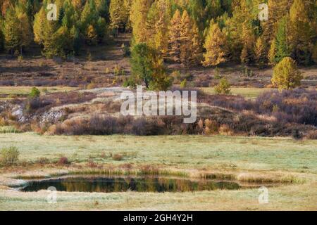 Blick auf den Altai-See Dzhangyskol und das Bergplateau Eschtykel. North Chui Ridge. Altai, Sibirien, Russland. Stockfoto