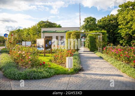 Prag, Tschechische Republik - 23.08.2021: Der Rosengarten auf dem Petrinberg in Prag, Tschechische Republik. Stockfoto