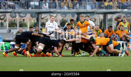 5. September 2021; Optus Stadium, Perth, Australien: Bledisloe Cup international Rugby, Australien gegen Neuseeland; Brad Weber von den All Blacks füttert den Scrum Stockfoto