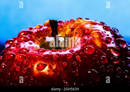 Ein Apfel mit Wassertropfen Stockfoto