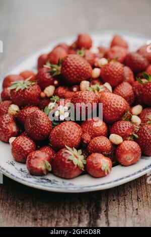 Frische Erdbeeren und Walderdbeeren auf einem Vintage-Teller Stockfoto