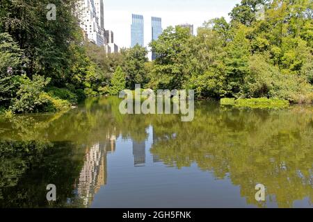 Central Park und Gebäude spiegeln sich in Midtown Manhattan, New York City Stockfoto