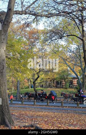 New York, USA - 21. November 2010: Central Park Herbst und Gebäude in Midtown Manhattan New York City Stockfoto