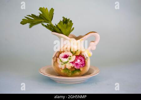 Ein Zweig aus gewöhnlicher flacher oder italienischer Petersilie, ein gewöhnliches Kraut, das in vielen Gemüsegärten auf der ganzen Welt angebaut wird. Stockfoto